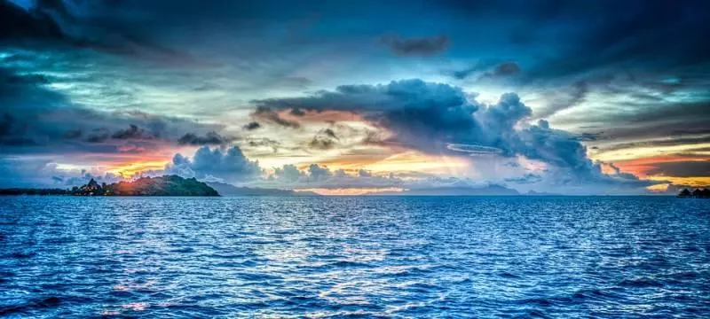 注意!這6種魚「千萬別吃」!吃了比直接吞水銀還「毒」!