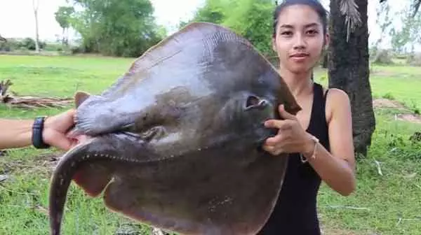 為賺廣告費 柬女網紅濫殺瀕危動物