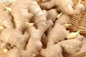 生薑這樣用,每晚來一次,啤酒肚消了,便秘慢慢好了,濕氣重也緩解了