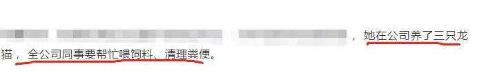 被公認的好老公 離婚後兩年被坐實婚內出軌(組圖)