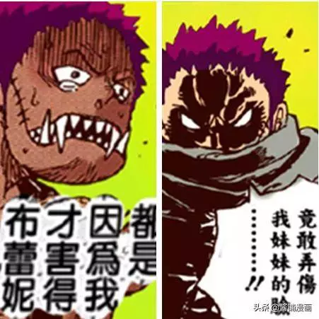 海賊王868集:卡塔庫栗陷入回憶,小時候雖然強,但有著太多無奈