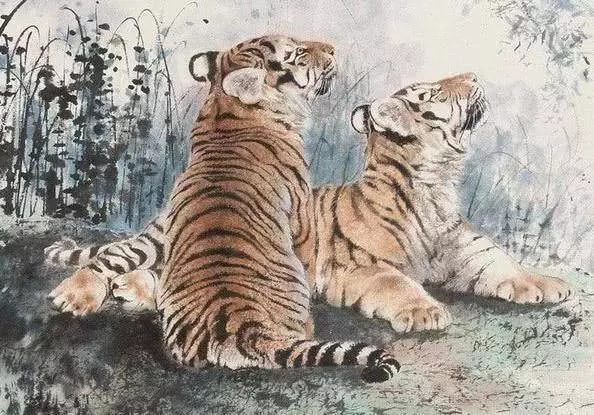 如果你身邊有1974年屬虎的人,請好好珍惜他。