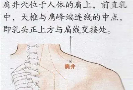 敲膽經,助消化、能排毒、舒肝鬱、調情志!收了吧!