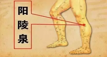 敲膽經,助消化、能排毒、舒肝鬱、調情志!收了吧!