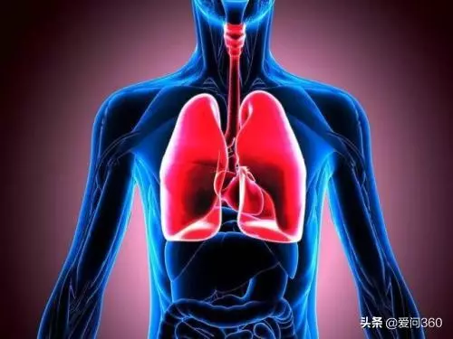 肺不好這4個穴位少不了,堅持按摩這幾個穴位,對肺炎也有好處