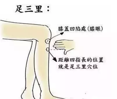 養護女人一生的12大穴位,艾灸透了,受益終生!