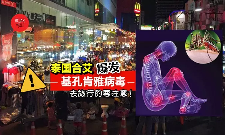 注意! 泰國合艾爆發基孔肯雅病毒 ⚠️是通過蚊子傳播的! 去旅行的大馬人請注意了!