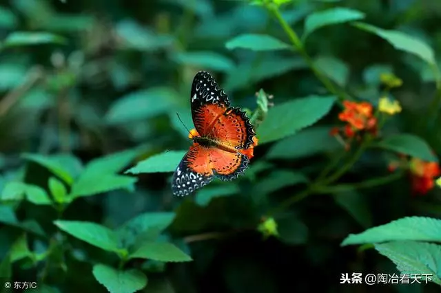 這個景區因一部電影而聞名天下,可遊客來了都說性價比太低了
