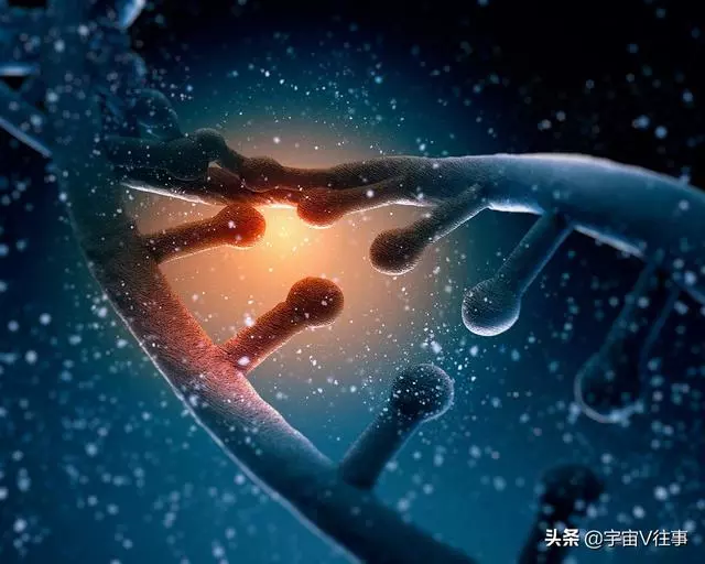 達爾文進化論面臨崩潰?人類主宰自身進化?未來是福是禍?