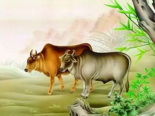 2019年12生肖幸運顏色, 新年穿對了 , 財運旺旺一整年!