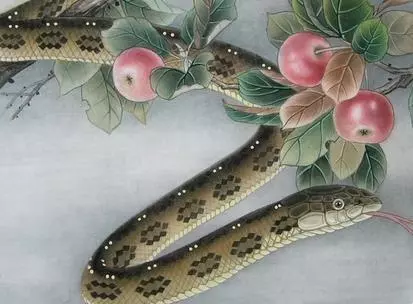2019年12生肖幸運顏色, 新年穿對了 , 財運旺旺一整年!