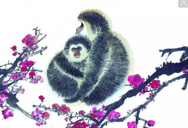 2019年12生肖幸運顏色, 新年穿對了 , 財運旺旺一整年!
