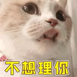 開心拆箱「主子的新床」!一見到「超奇葩使用方式」網笑:皇上好棒棒~
