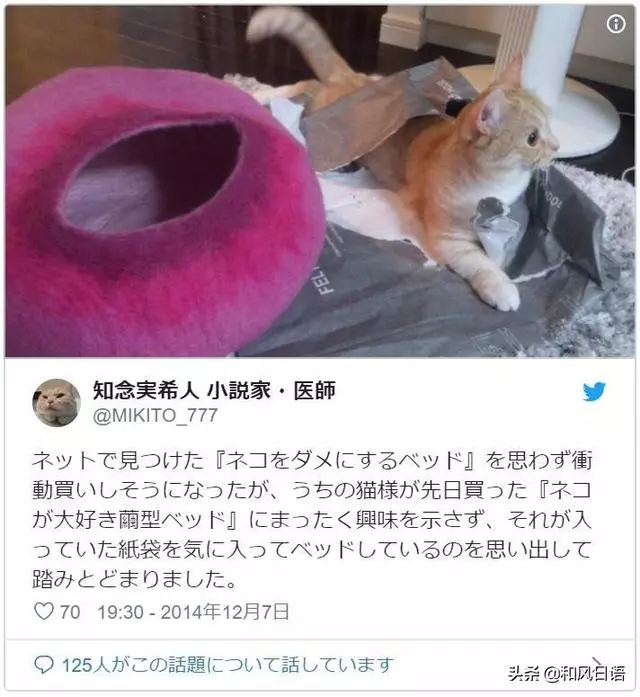 開心拆箱「主子的新床」!一見到「超奇葩使用方式」網笑:皇上好棒棒~