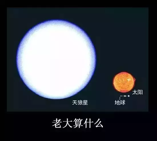 地球到底有多大?17張讓你秒懂「人類根本比灰塵還渺小」的殘酷比較圖