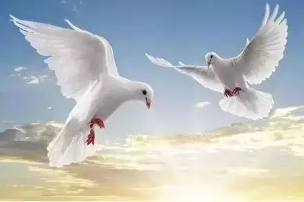 【性格命運測試】看看你的生日,測你的性格代表什麼鳥?做個測試吧!