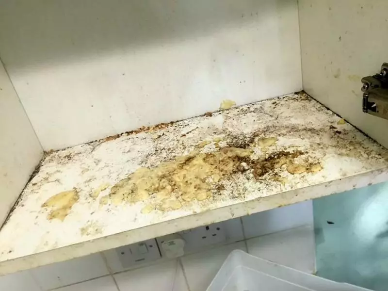 鄰居老奶奶「每次都匆忙關門」不讓人看見,她「勇敢破門而入」才發現房子內的驚人事實