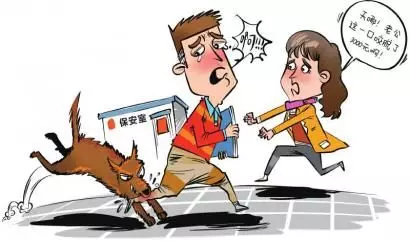 人被狗追的時候,為什麼人只要一蹲下狗就會跑?看完解開多年疑惑
