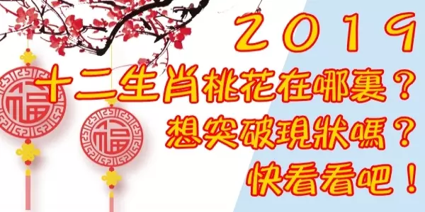 2019十二生肖桃花在哪裏?想突破現狀嗎?快看看吧!