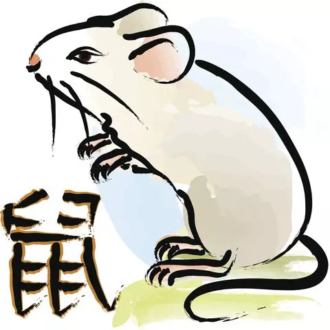 2019十二生肖桃花在哪裏?想突破現狀嗎?快看看吧!