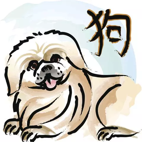 2019十二生肖桃花在哪裏?想突破現狀嗎?快看看吧!