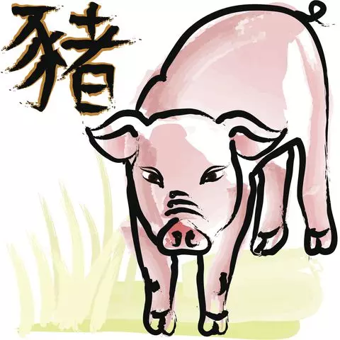 2019十二生肖桃花在哪裏?想突破現狀嗎?快看看吧!