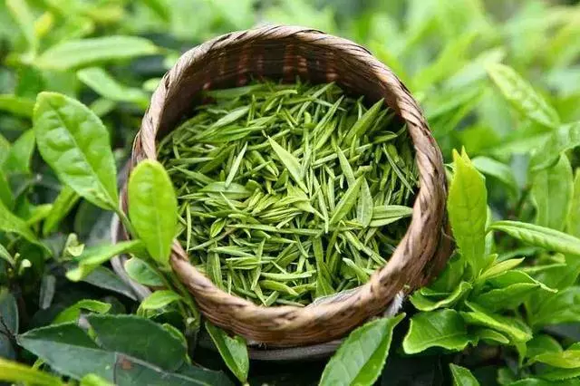 走路速度快慢決定了壽命,最好的「長壽藥」做好這4點很關鍵!