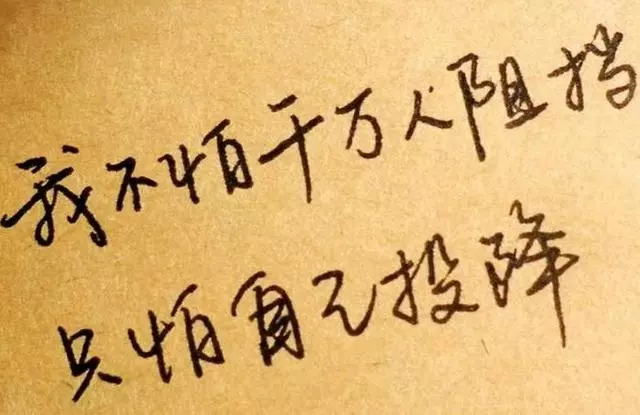 唯有埋頭,方有出頭,致自己