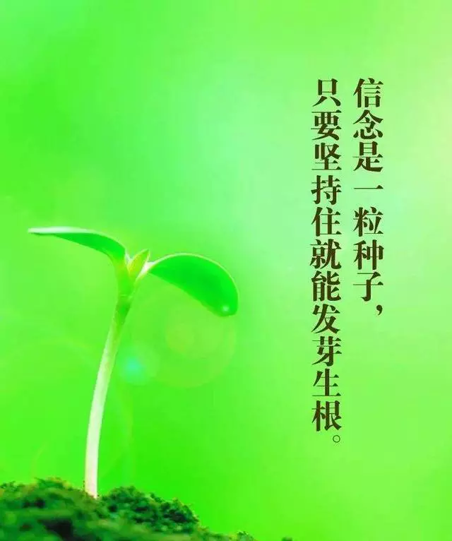 唯有埋頭,方有出頭,致自己