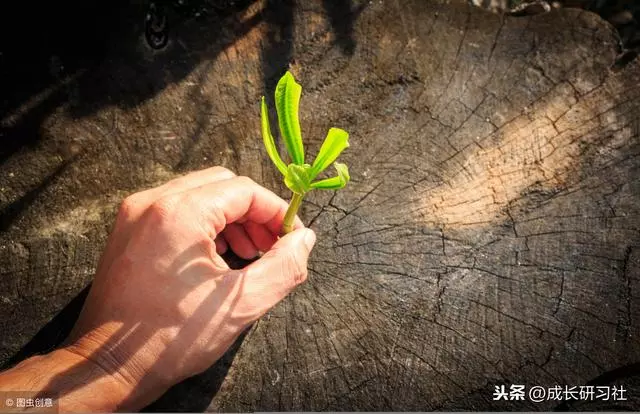2019年12條勵志語錄,扎心扎的看不下去了