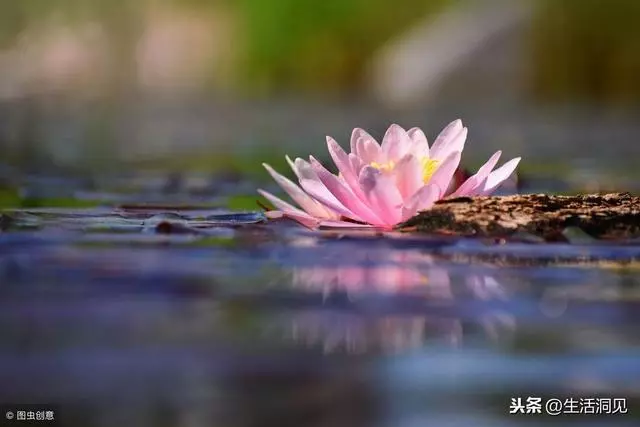人在落魄的時候,要主動靠近這三種人!