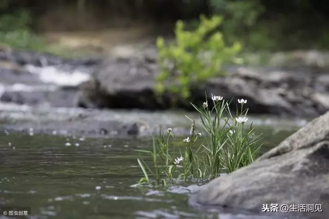人在落魄的時候,要主動靠近這三種人!
