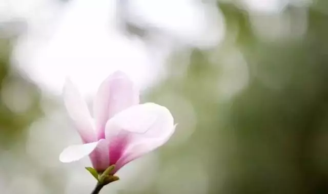 6個字,讓你終生不發火