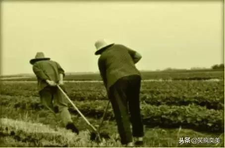 人間最苦的兩個人是老爸和老媽!每個人都該看看!