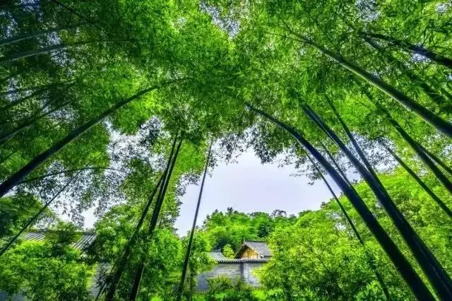 距成都45公里,這座四川面積最小的小城,坐擁美景無數,太低調!