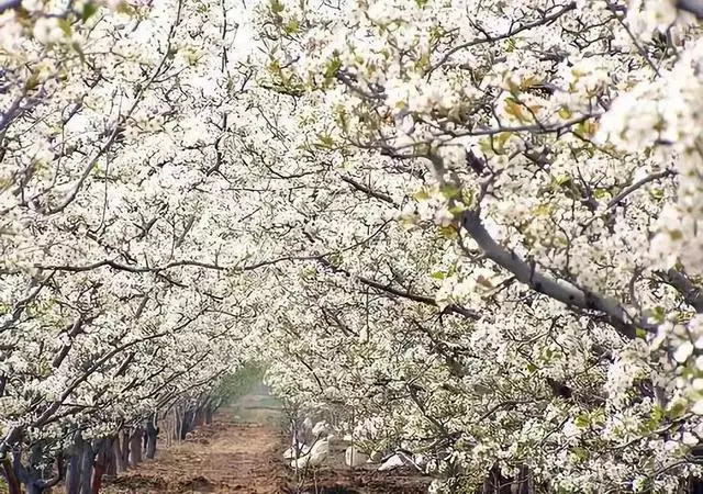 距成都45公里,這座四川面積最小的小城,坐擁美景無數,太低調!