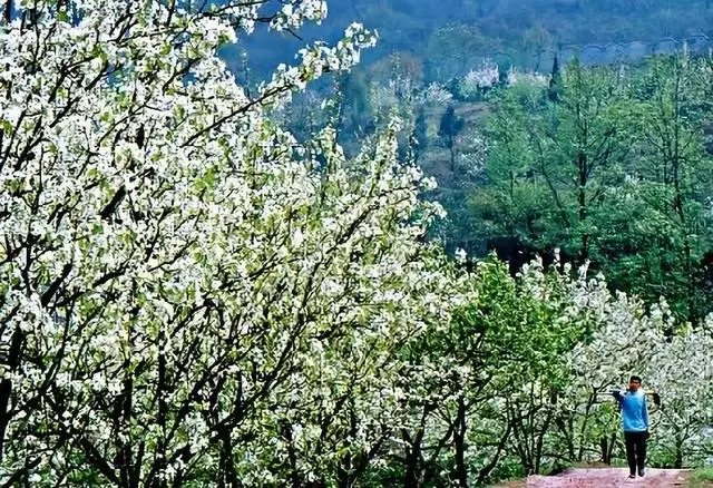 距成都45公里,這座四川面積最小的小城,坐擁美景無數,太低調!