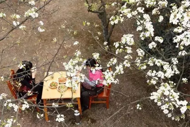 距成都45公里,這座四川面積最小的小城,坐擁美景無數,太低調!