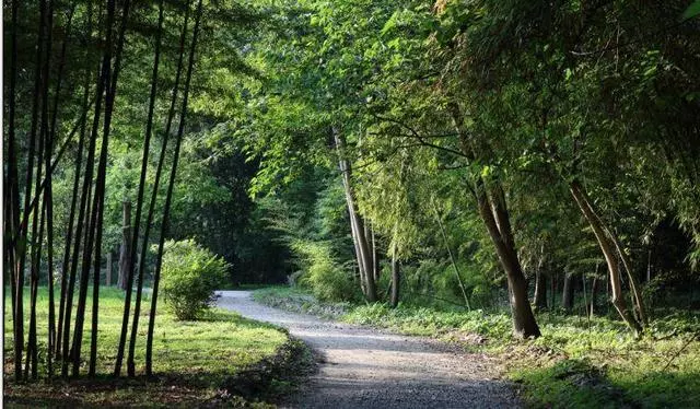 距成都45公里,這座四川面積最小的小城,坐擁美景無數,太低調!