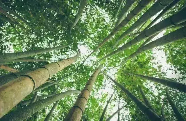 距成都45公里,這座四川面積最小的小城,坐擁美景無數,太低調!