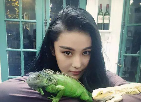 明星有錢太任性,養的寵物有點嚇人不說,還有人花800萬給狗整容