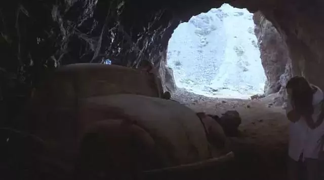道理我都懂,但大黃蜂為什麼這麼萌?