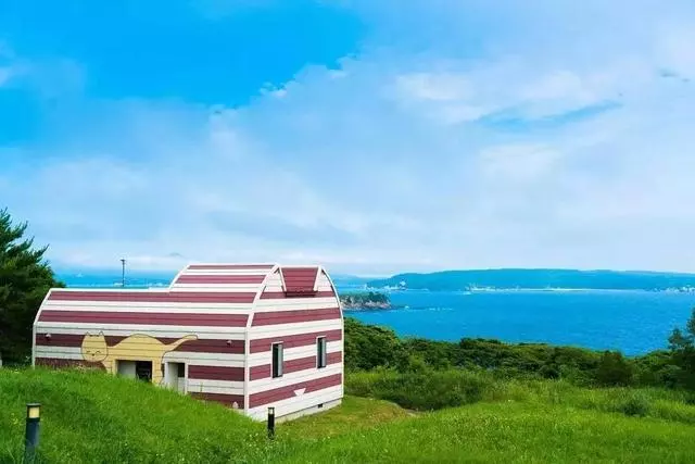 貓咪報恩救人感動全日本,這座貓島成貓奴們的世外桃源