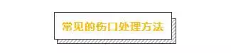 主人必學急救方法,關鍵時刻救狗一命