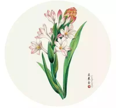 植物風水學知識,庭院種樹必知!