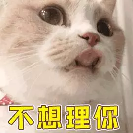 開心拆箱「主子的新床」!一見到「超奇葩使用方式」網笑:皇上好棒棒~