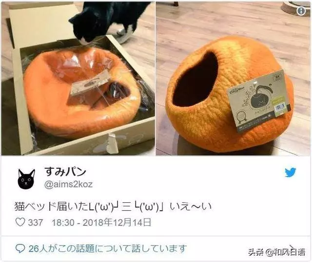 開心拆箱「主子的新床」!一見到「超奇葩使用方式」網笑:皇上好棒棒~