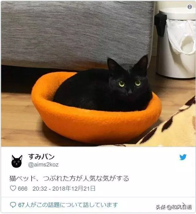 開心拆箱「主子的新床」!一見到「超奇葩使用方式」網笑:皇上好棒棒~