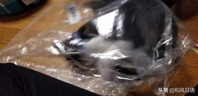 開心拆箱「主子的新床」!一見到「超奇葩使用方式」網笑:皇上好棒棒~