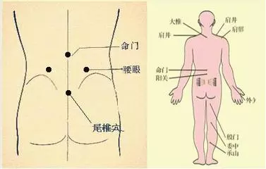 腰椎疼痛需要了解的穴位圖!你值得收藏!